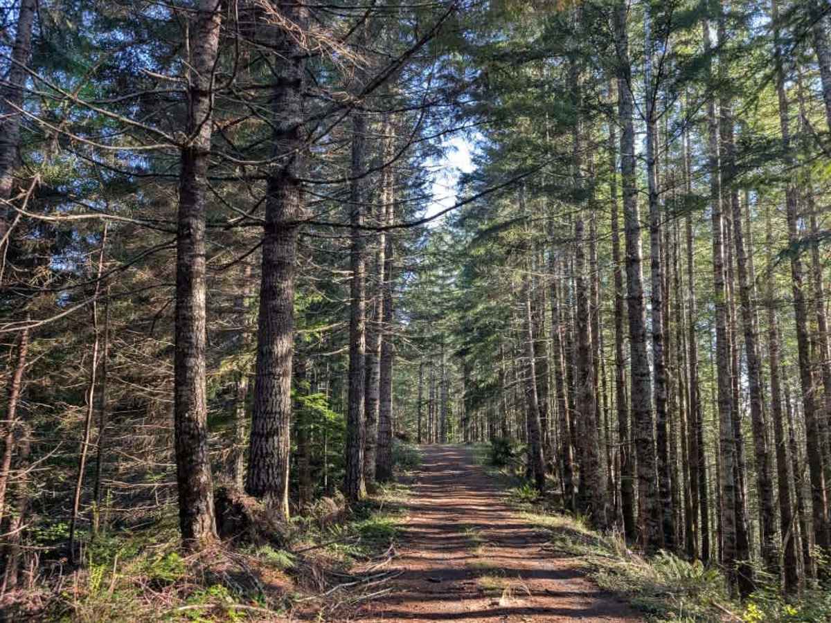 1845 trail photo