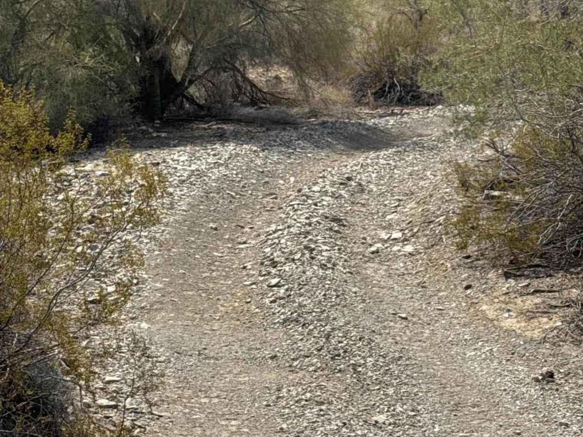 Desert Crossroads photo 3