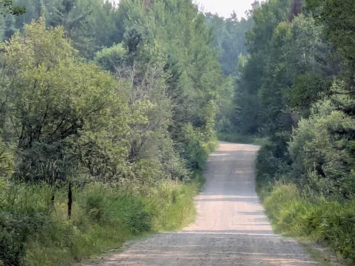 Moose River Access photo 5