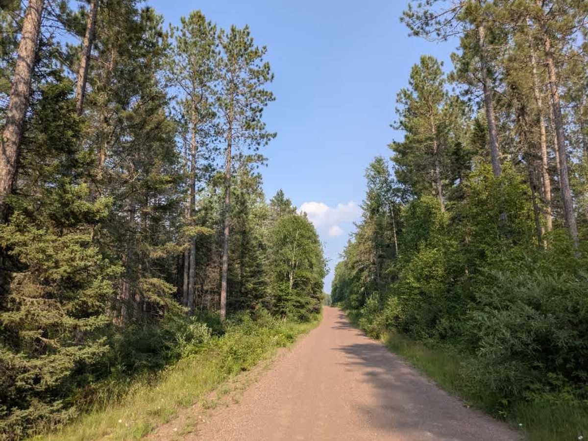 Two Moose Trail photo 3