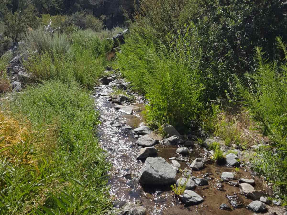 Yellowjacket OHV Trail - FS 20W24 photo 5