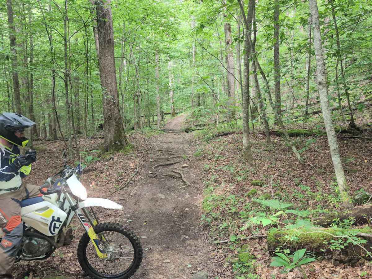 Sheltowee Trace Single Track - FS 100 photo 3