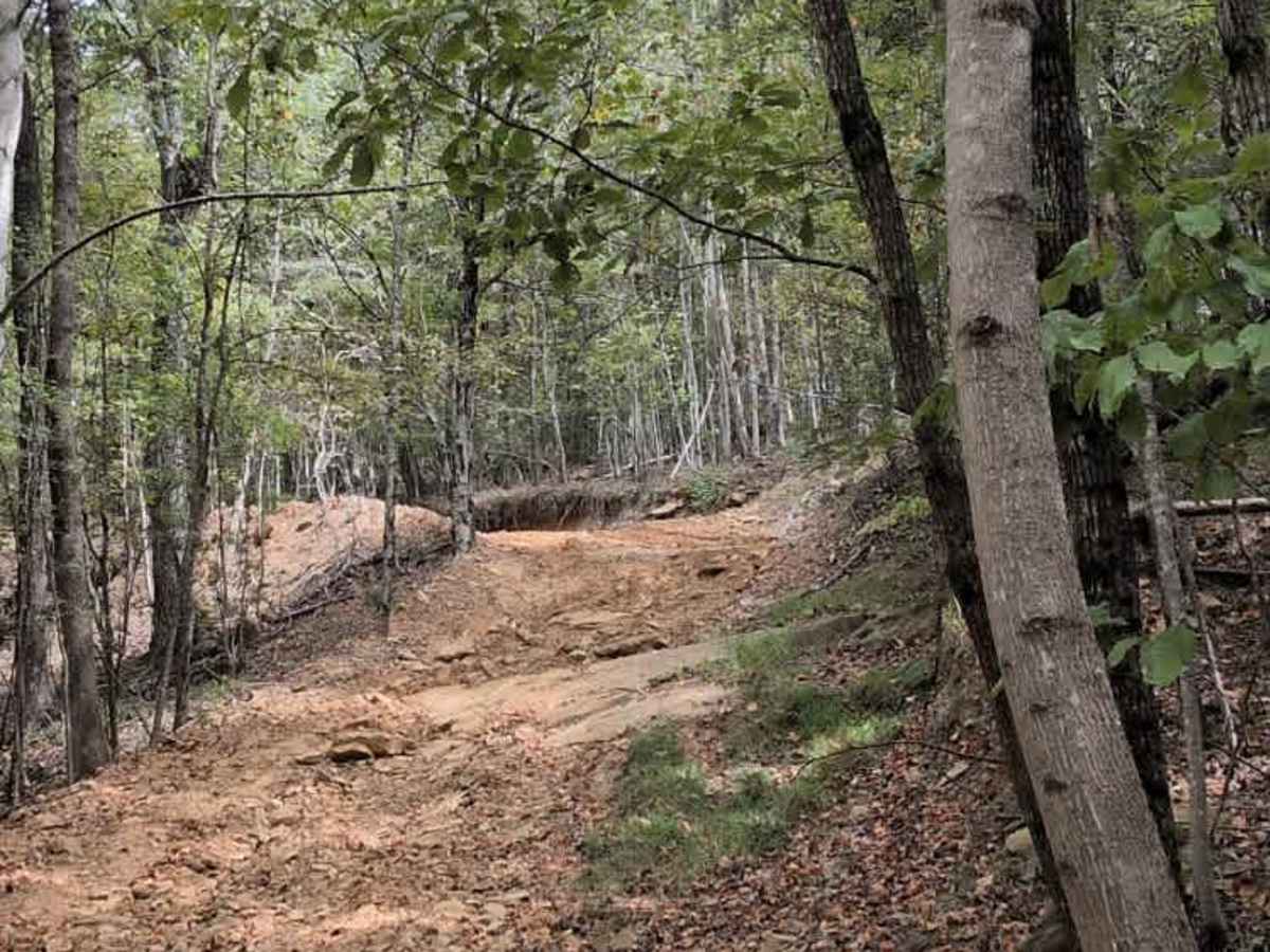 #29 Buck Pass trail photo