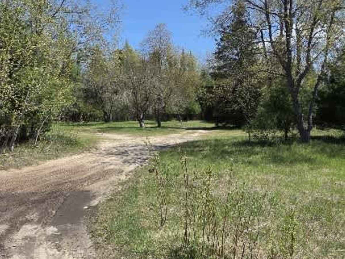 Howard Road photo 4