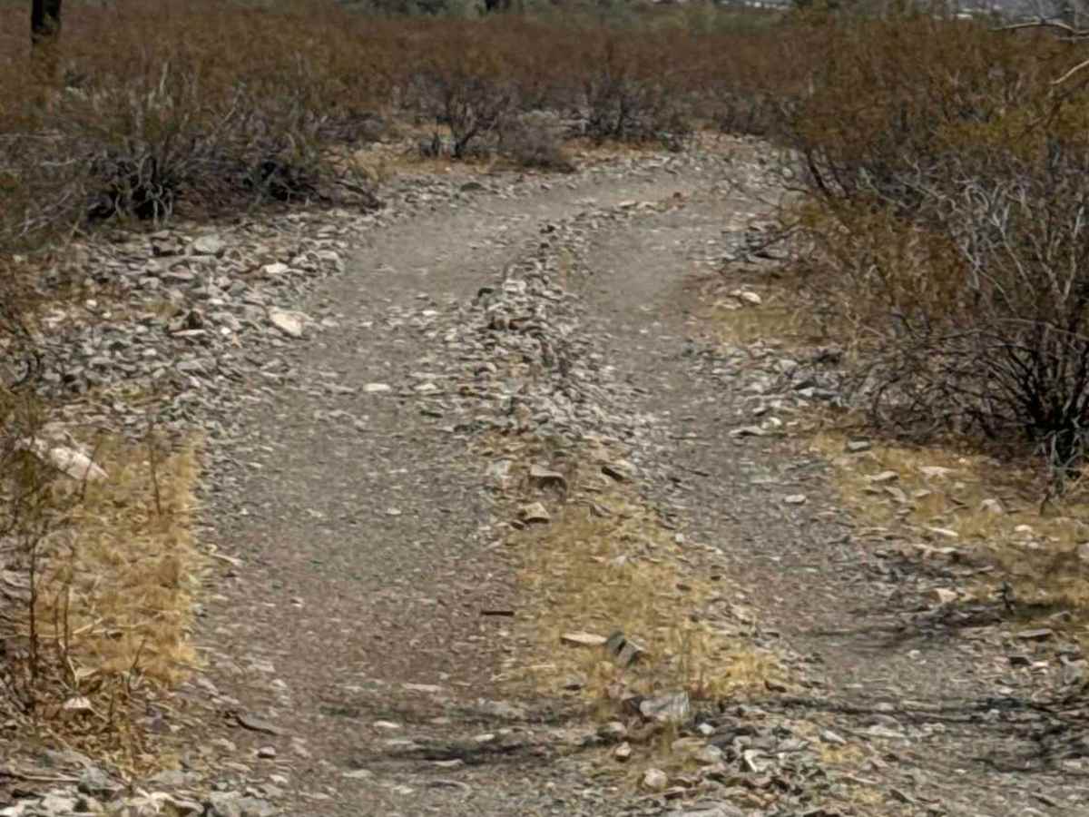 Palo Verde Run  photo 2