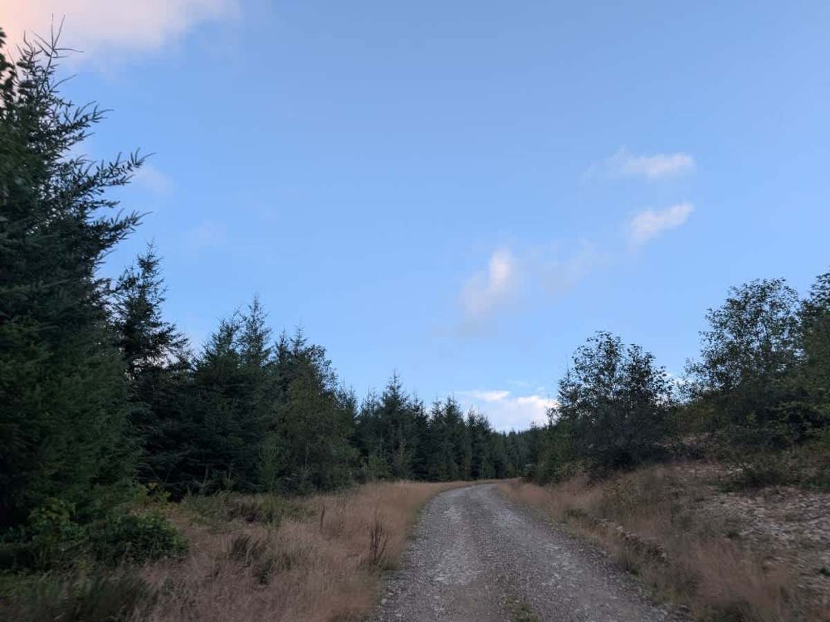 FS 1014 photo 2