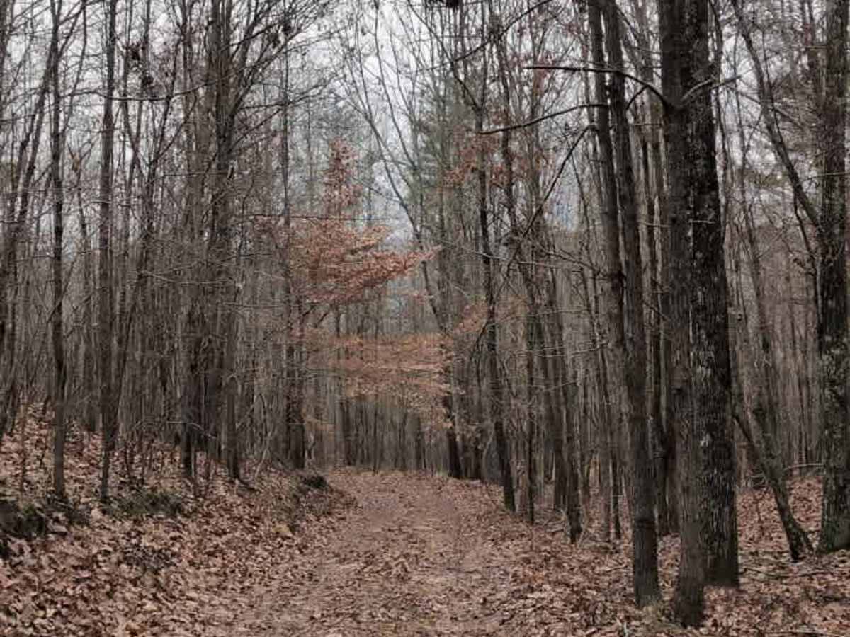 #32 Gobbler's Cutoff photo 4