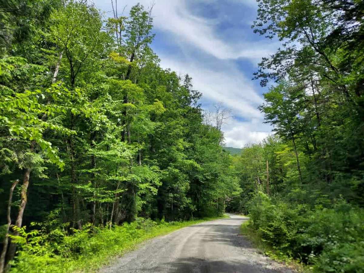 Curtis Hollow Road trail photo