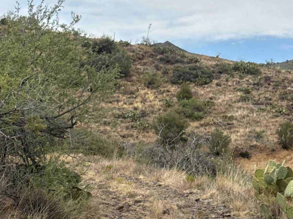 BLM 36046 photo 3