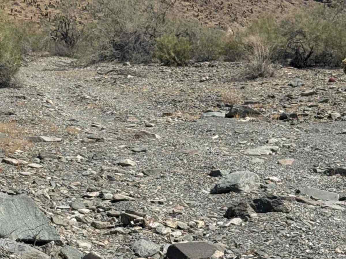 Waterfall Wash  trail photo