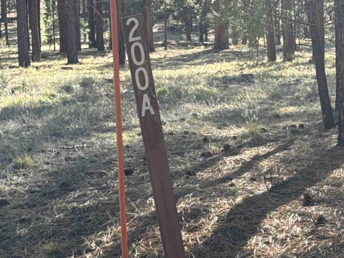 FS 200A trail photo