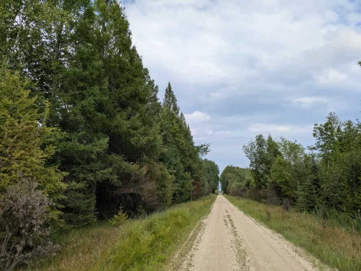 Budris Road trail photo