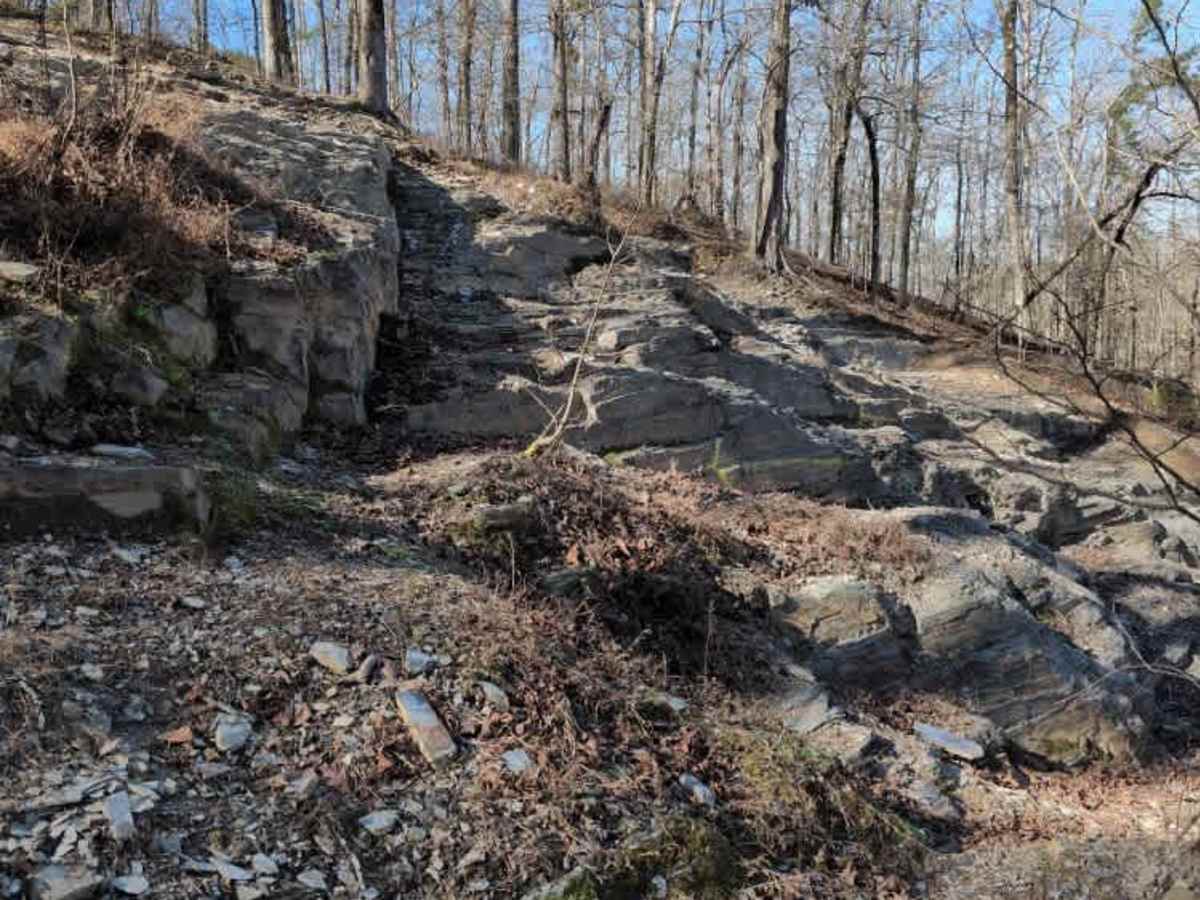 F9 Bonus Hill photo 6