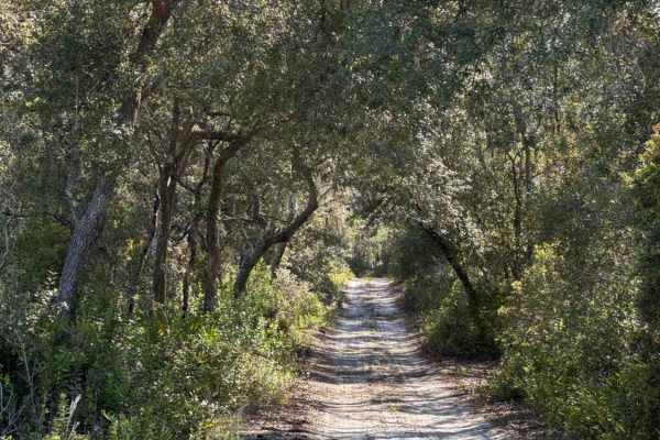 Cemetery Road