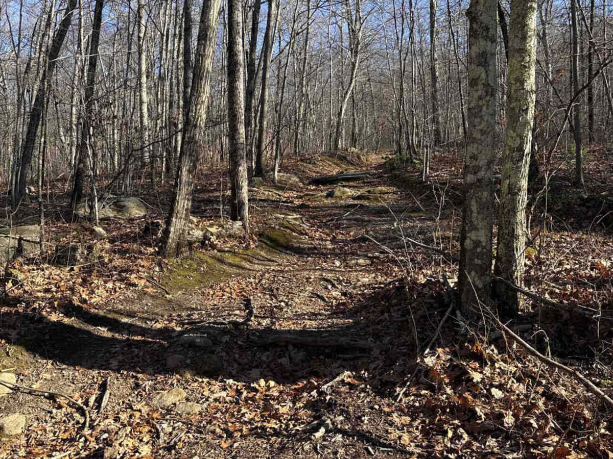 Del Reeves Road photo 3