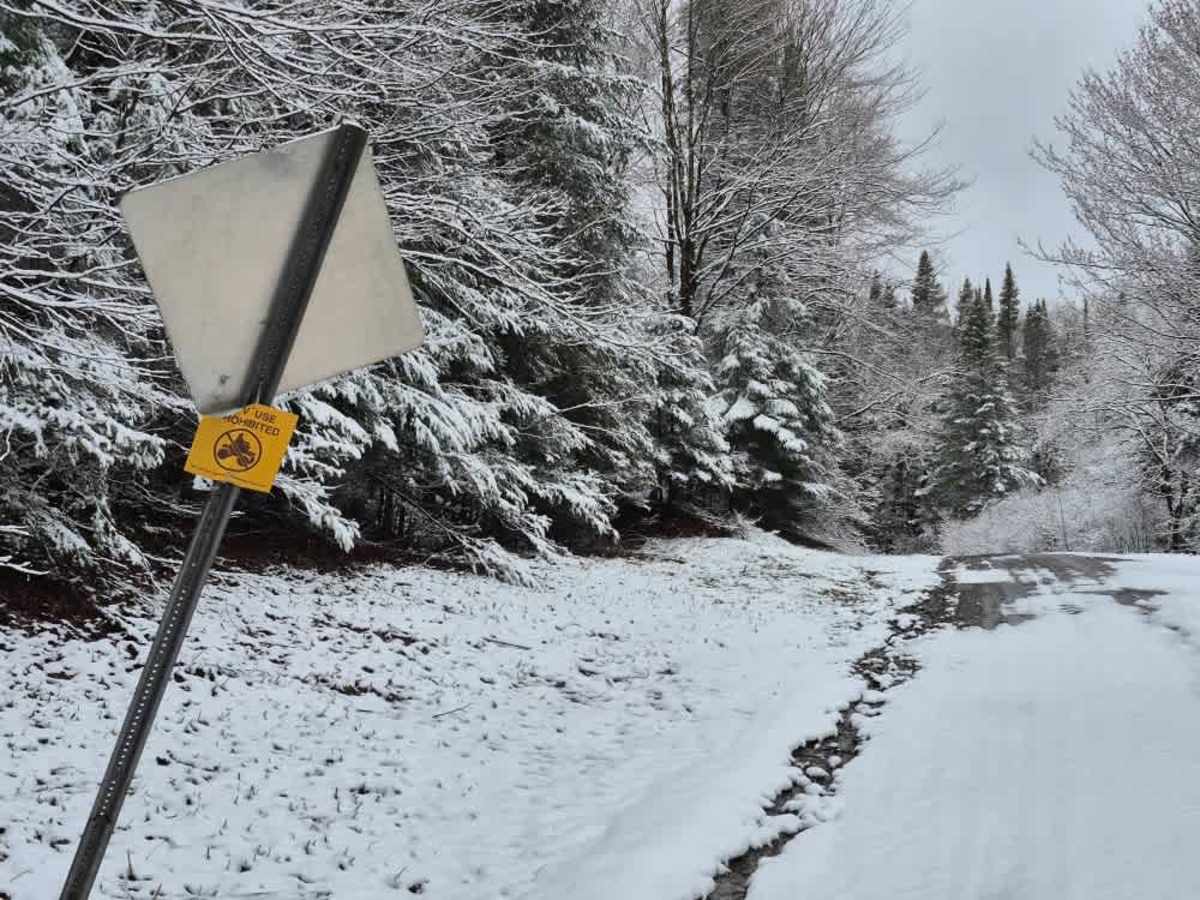 Horace Forward Truck Trail photo 2