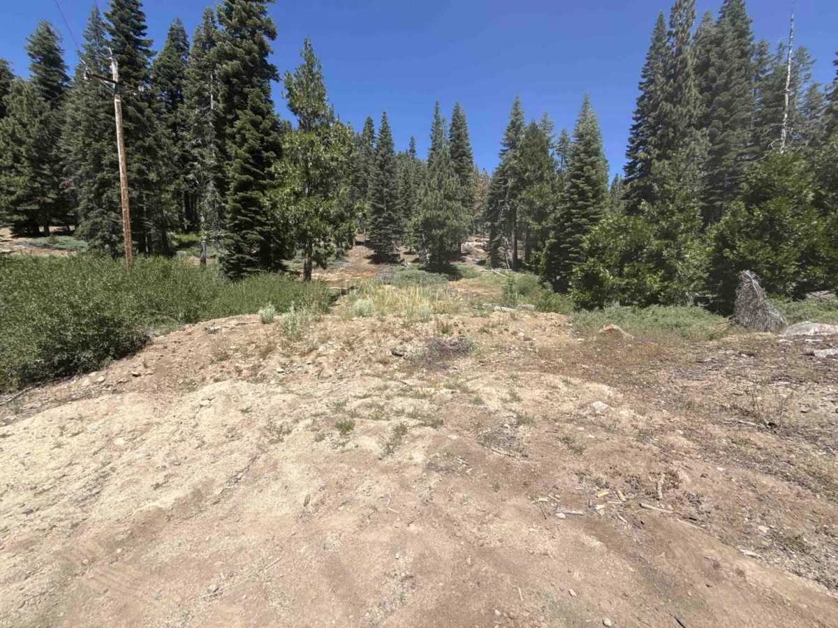 FS 6N78 trail photo