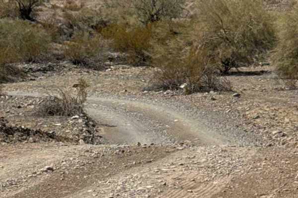 Desert Crossroads