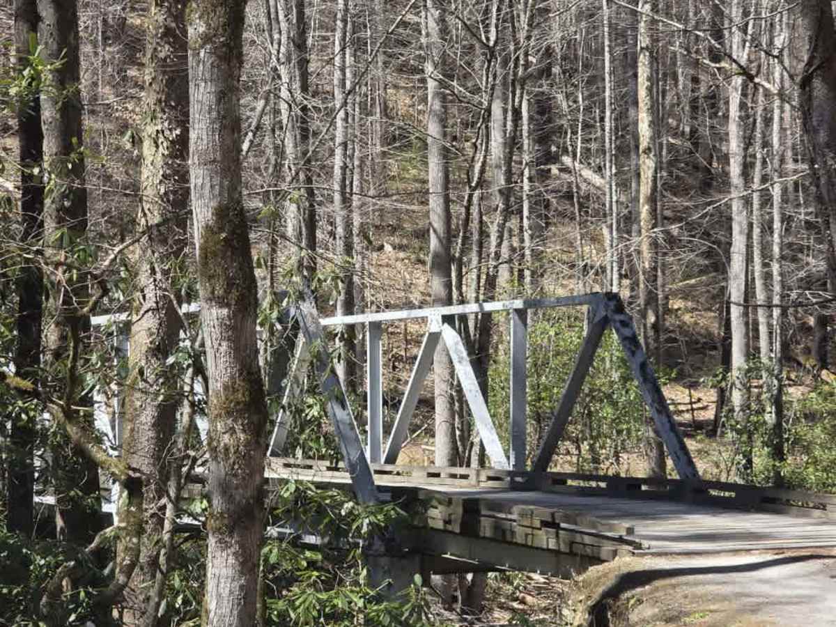 Cataloochee Creek Road photo 2