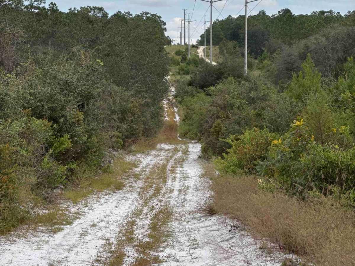 Tinsley Powerline Road photo 2
