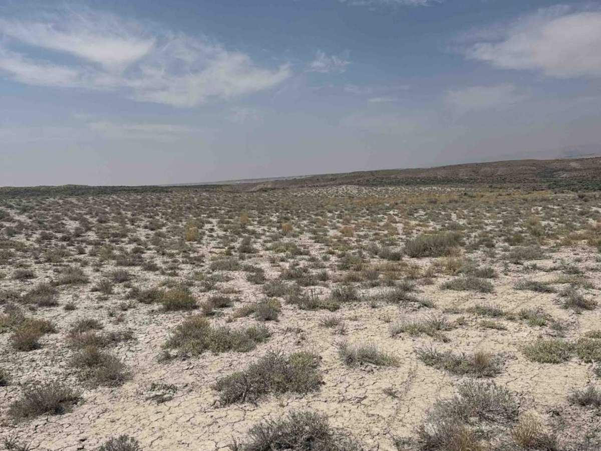 BLM 114A photo 4