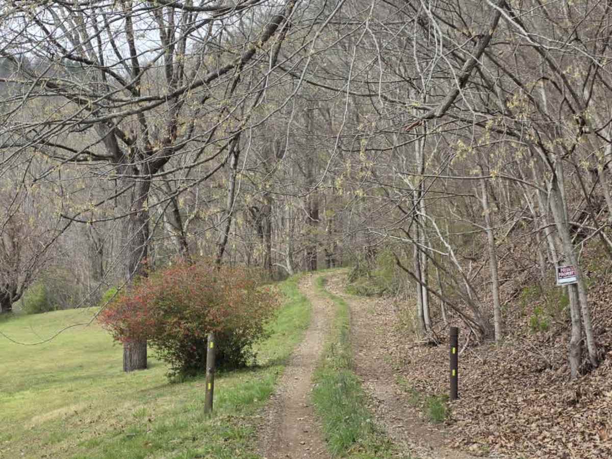 Green Knob trail photo