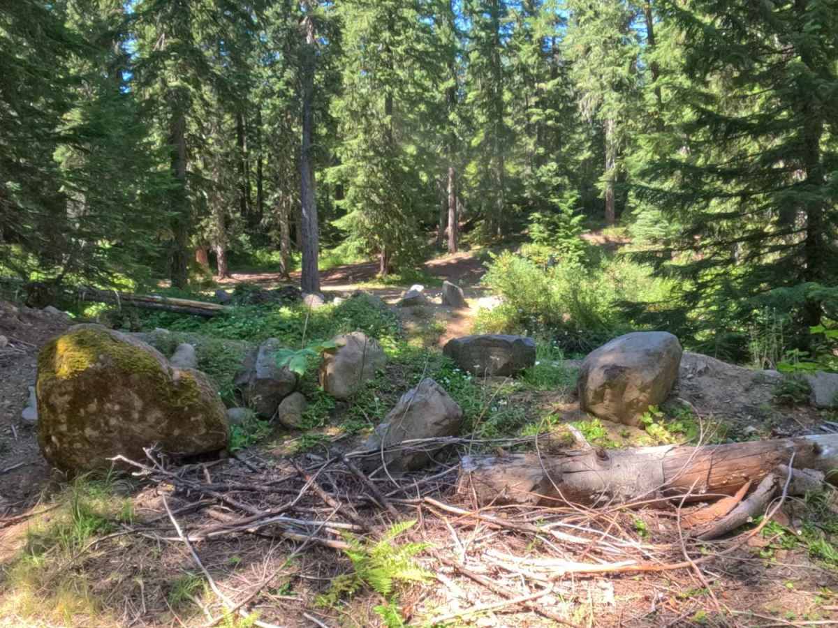 Scar Mountain Road - FS 2266310 trail photo