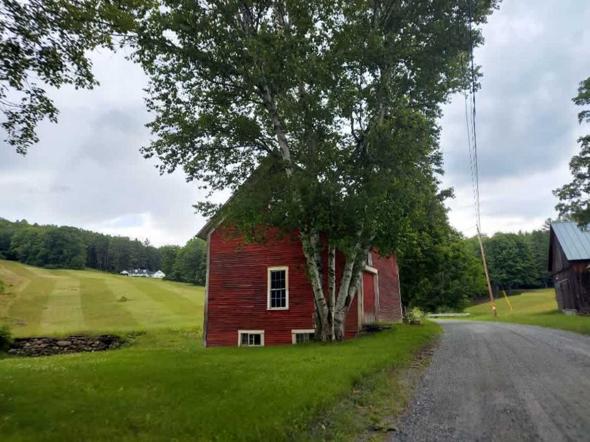 White Brook Road photo 4