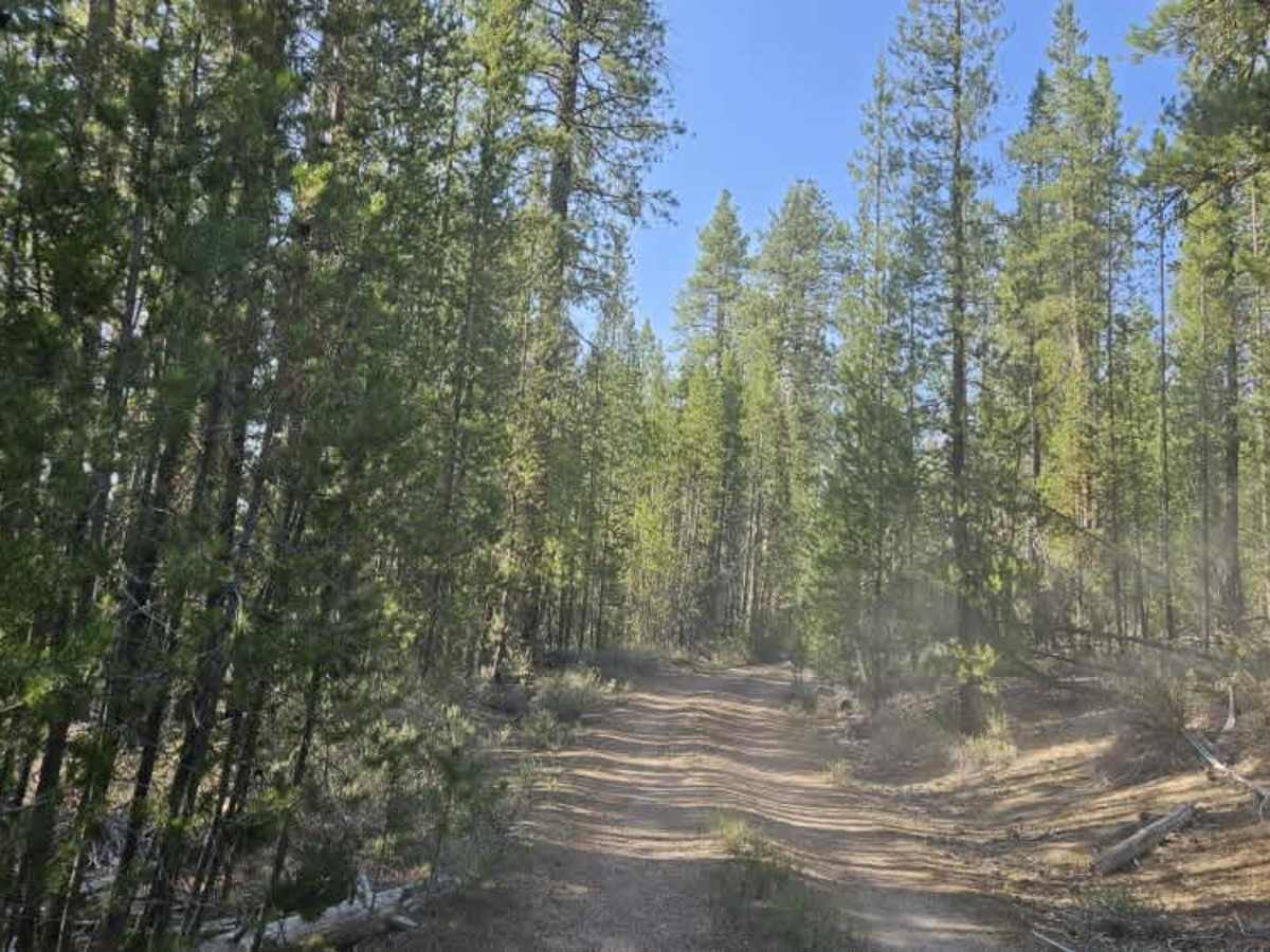 Davis Flat photo 4