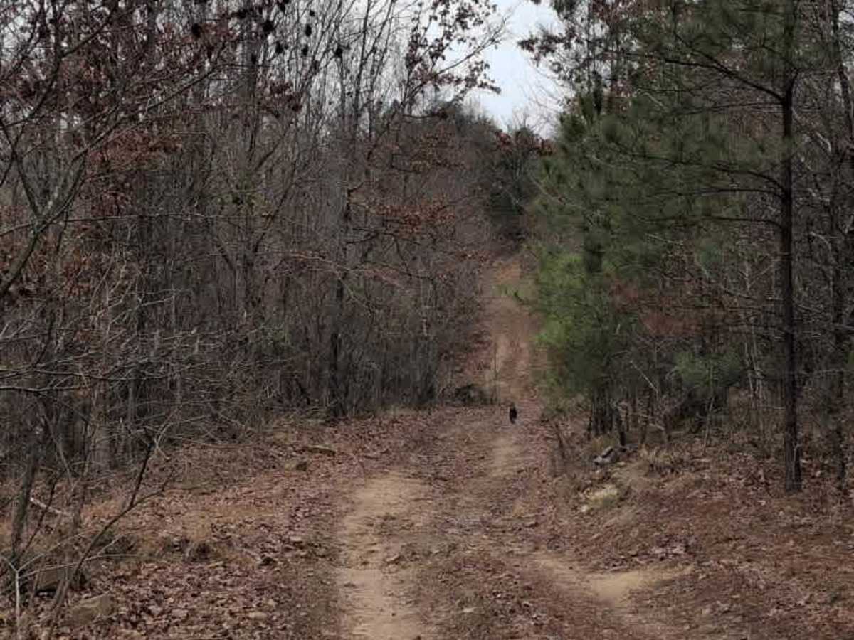 #32 Gobbler's Cutoff photo 2