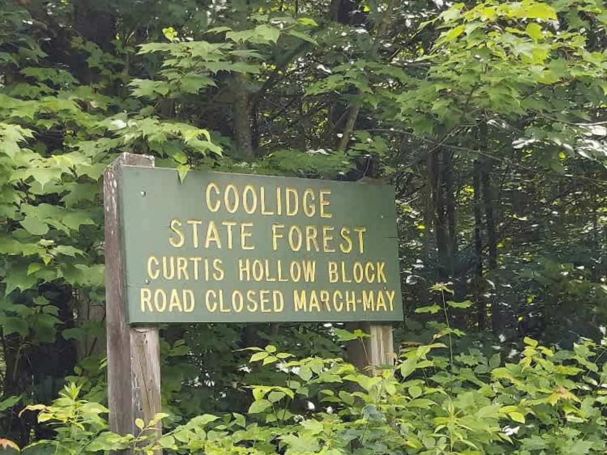 Coolidge State Forest Access Road trail photo