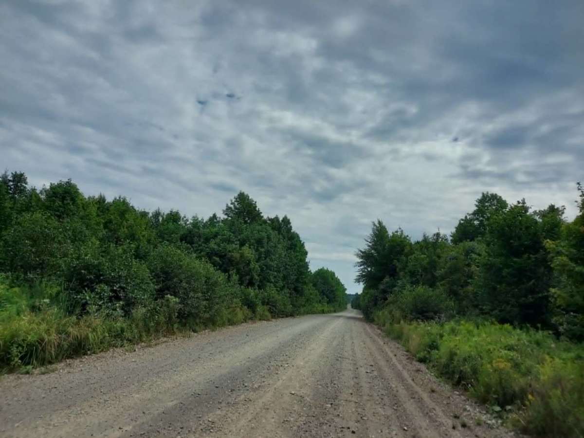 Duck Pond Road photo 5
