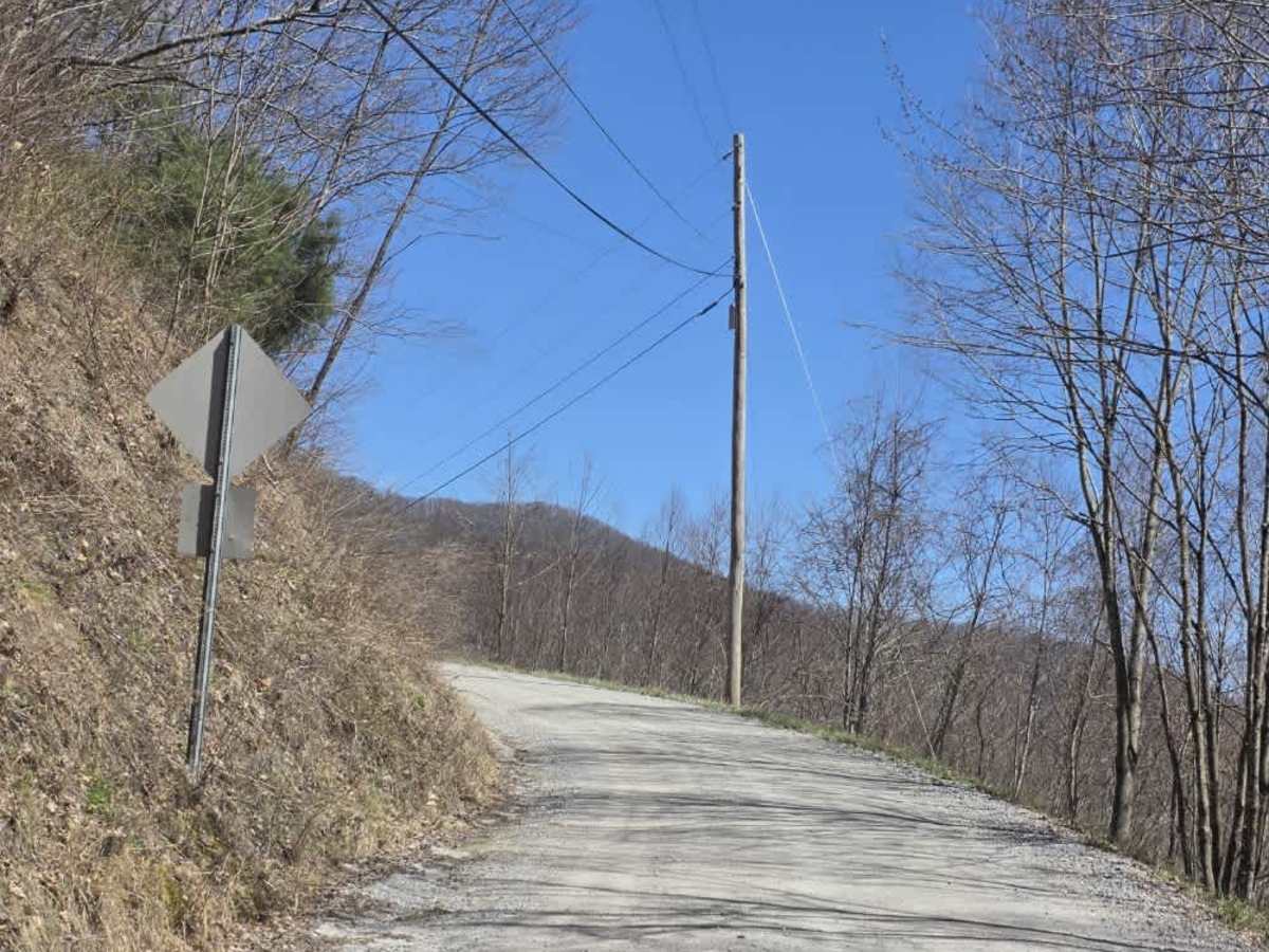 Cove Creek Road trail photo