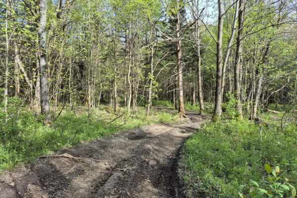 Forks-Factory Trail Connector