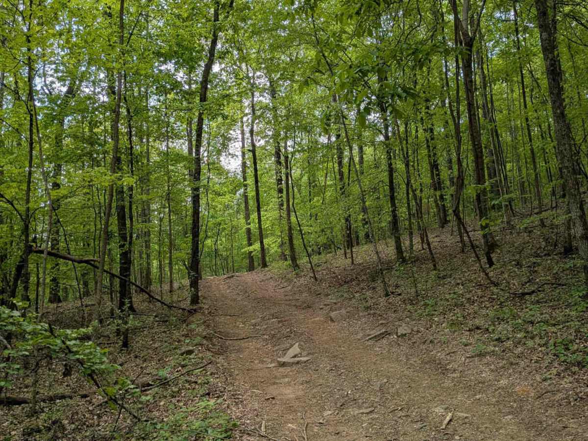 Trail 14 photo 4
