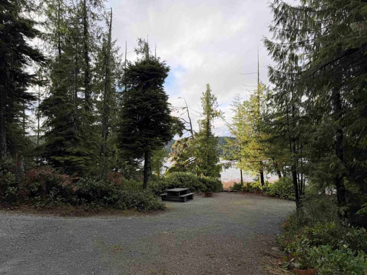 Brewster Lake Recreation Site trail photo