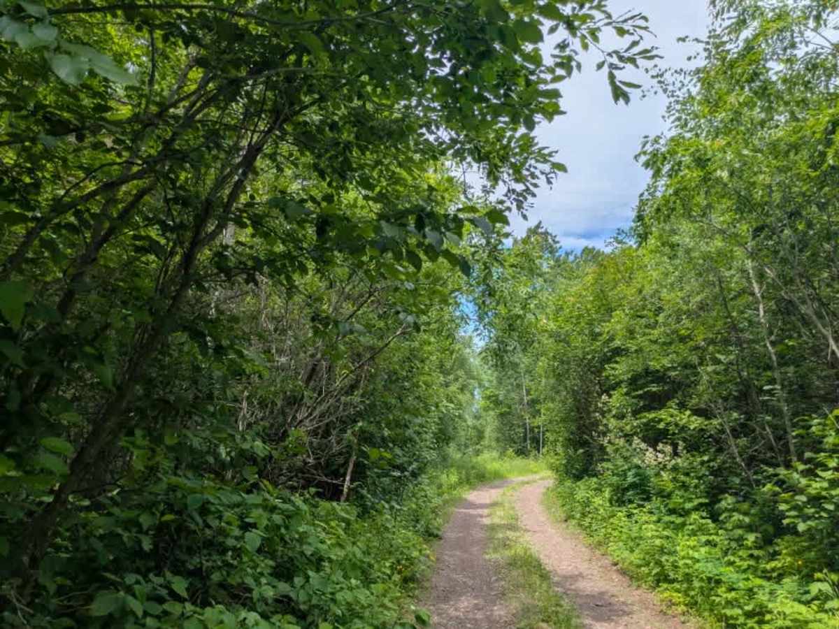 West Split Road trail photo