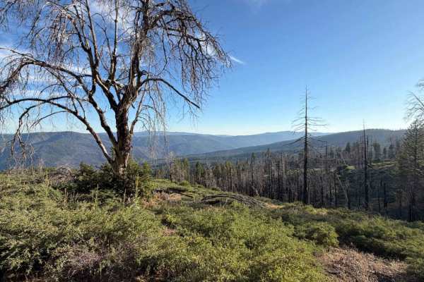 Trough Ridge Spur A - FS 24N05A
