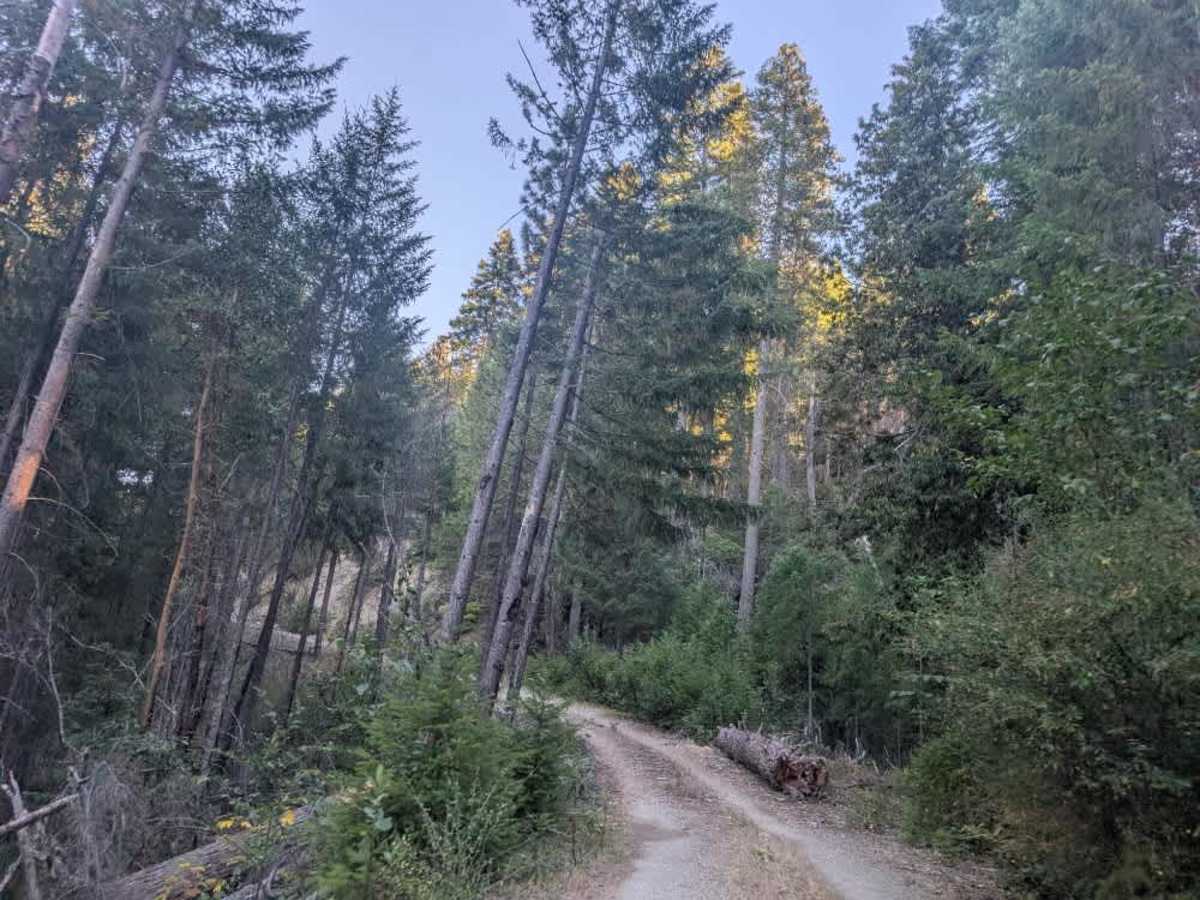 FS 1S06 trail photo