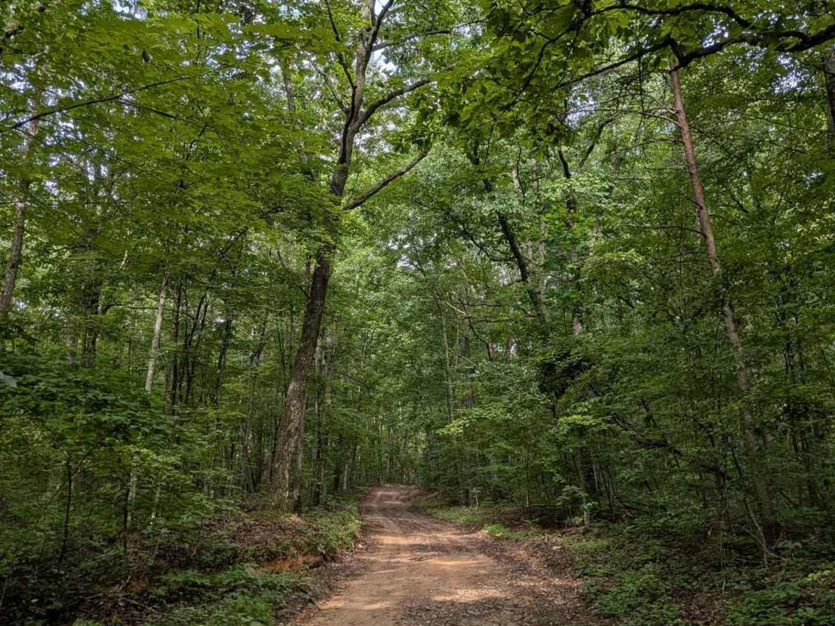 Rally Road trail photo