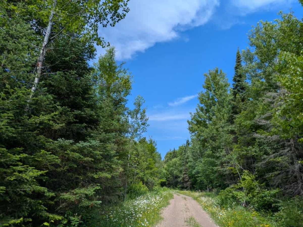 Kane Lake Spur J photo 2