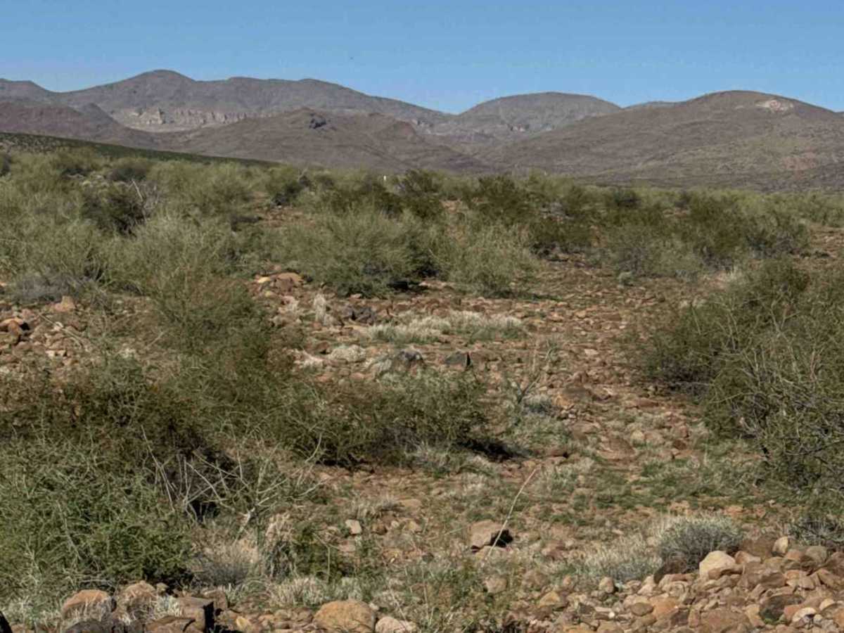 Sa1010 trail photo