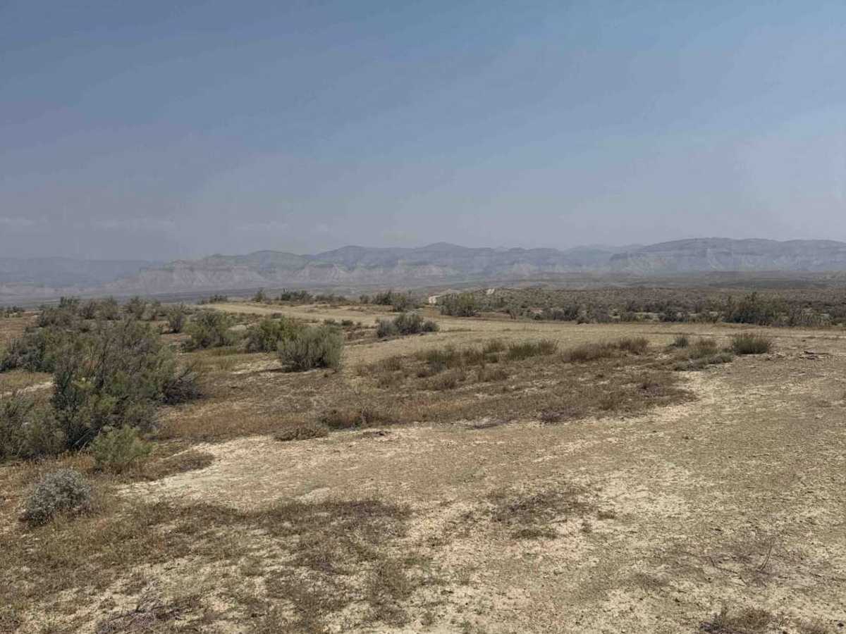 BLM 116 photo 6
