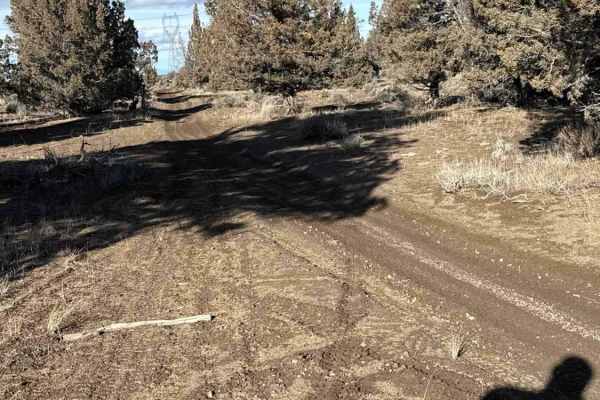 Millican Plateau OHV Trail 17