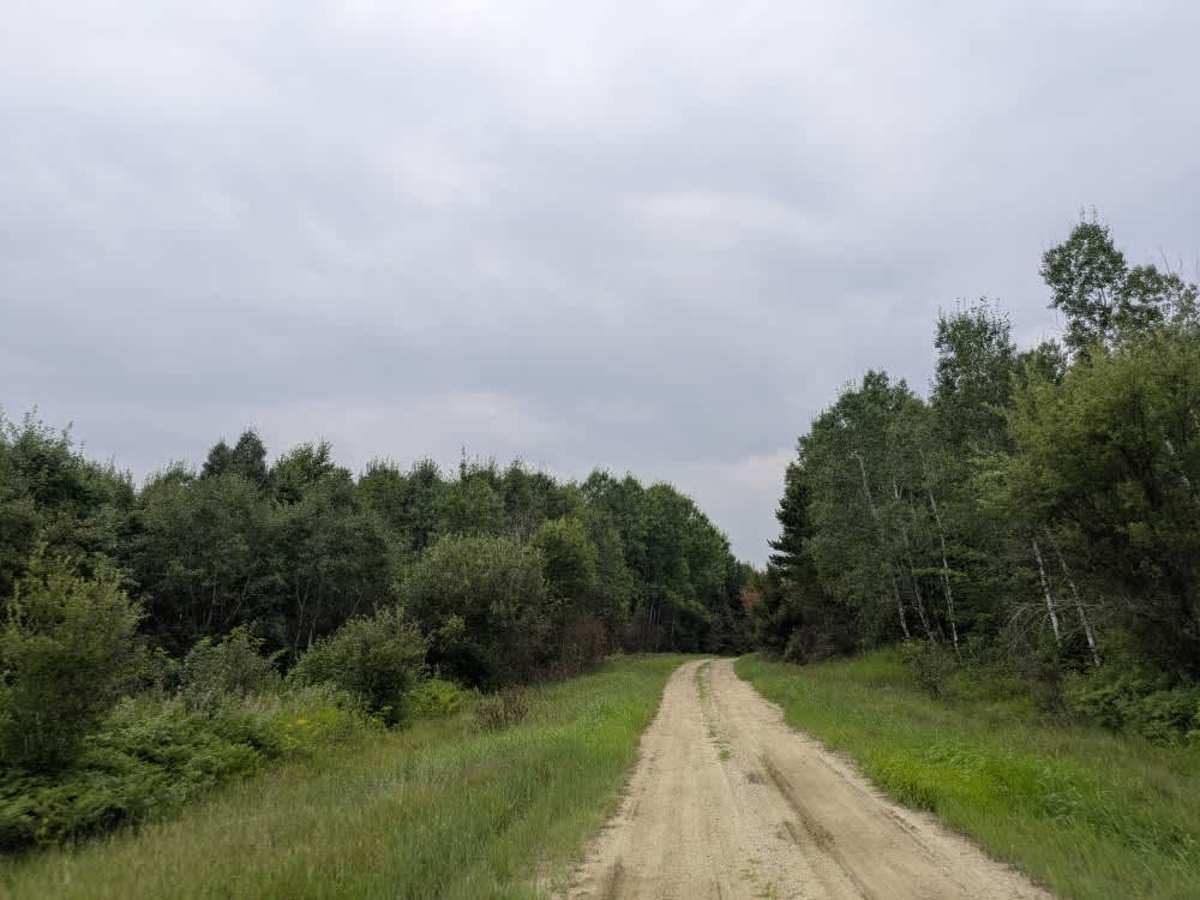 Camp 90 Forest Road photo 4