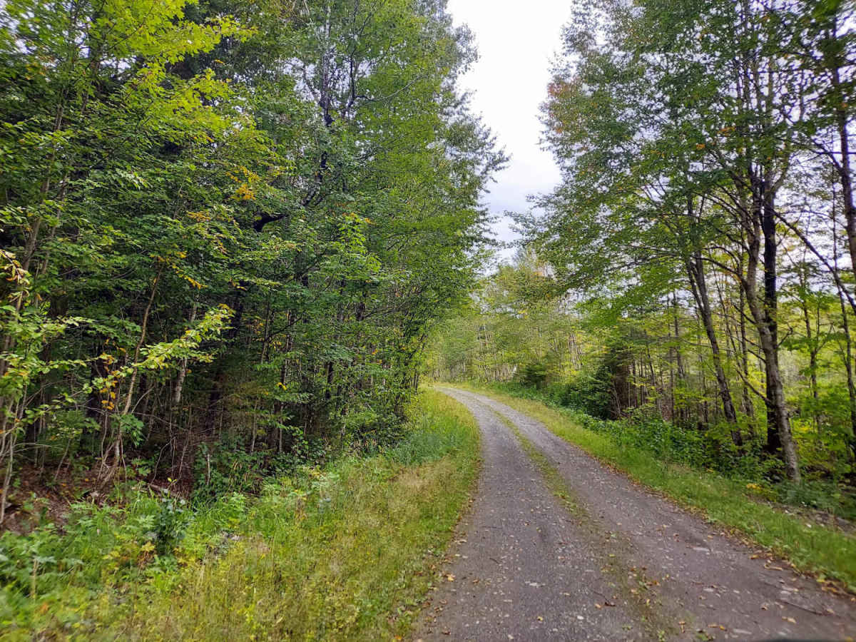 East Branch Road trail photo