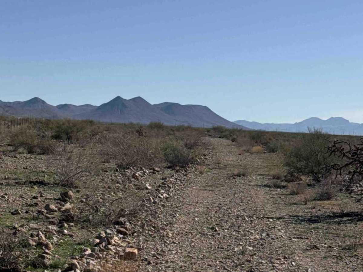 Sa1072 trail photo