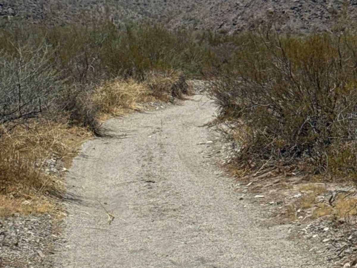 Creosote Corridor  photo 2