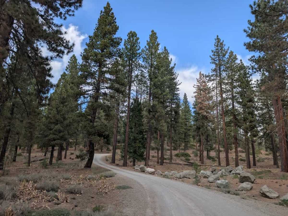 Bluff Cove trail photo