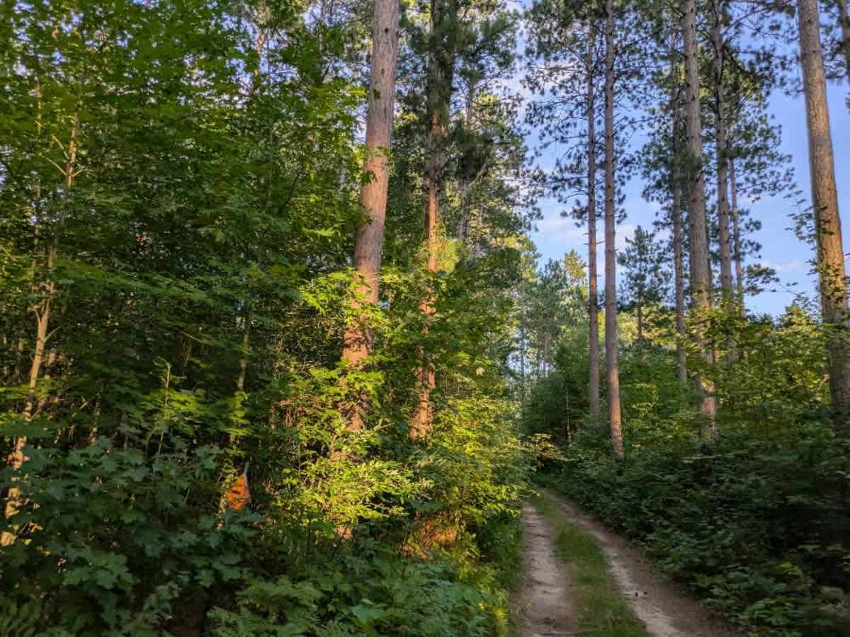 Converse Road trail photo